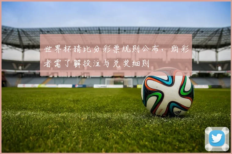 世界杯猜比分彩票规则公布，购彩者需了解投注与兑奖细则