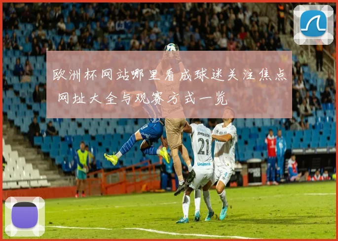 欧洲杯网站哪里看成球迷关注焦点 网址大全与观赛方式一览