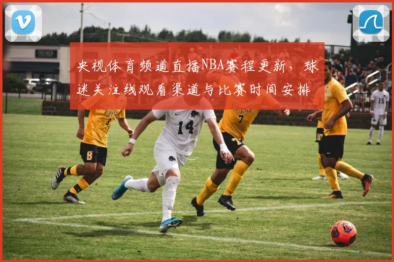 央视体育频道直播NBA赛程更新，球迷关注线观看渠道与比赛时间安排