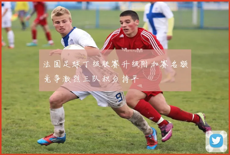 法国足球丁级联赛升级附加赛名额竞争激烈三队积分持平