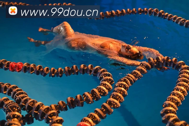 开云手机网页登录网页APP 高清赛事图